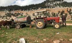 Yörüklerin yayla dönüşü başladı