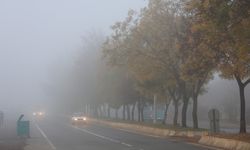 Kahramanmaraş'ta sis etkili oldu   