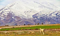 Kahramanmaraş'a yılın ilk karı yağdı, kartpostallık görüntüler oluştu  