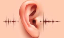 Sık görülen kulak hastalıkları nedir? Nasıl Tedavi Edilir?