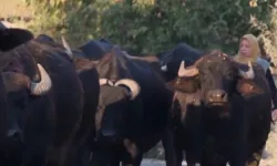 Gün Olur belgeseli nerede, hangi köyde çekildi? TRT Belgesel Gün Olur belgesi hangi şehirde çekilmiştir?