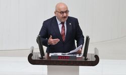 Hasan Bitmez kimdir? Hasan Bitmez kaç yaşında, nereli? Hasan Bitmez biyografisi!