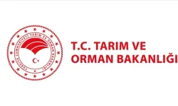 Türkşeker'den 390 İşçi Alımı: Başvuru Tarihi ve Şartları Belli Oldu