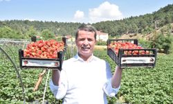Türkoğlu Belediye Başkanı Okumuş, Bölgenin Bereketini Paylaştı