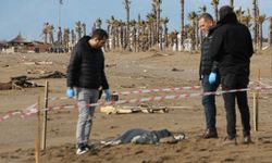Antalya  sahilde 2 ceset daha , ceset sayısı 8 oldu   