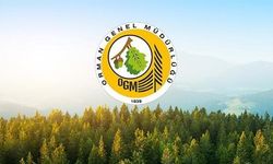 Orman Genel Müdürlüğü 170 Sözleşmeli Personel Alacak