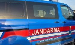 Jandarma, aranan şahısları bir bir yakalıyor