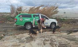 Jandarma sokak hayvanlarını unutmuyor