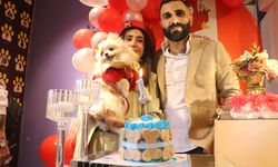 Nişanlı Çift, Farkındalık İçin Köpeklerinin Doğum Gününü Kutladı