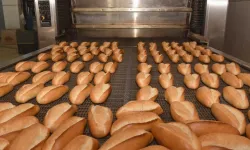 Halk Ekmek, 15 Farklı Branşta Personel Alımı Yapıyor