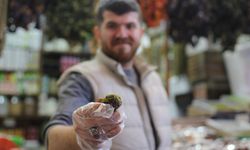 Kahramanmaraş'ta Fıstıklı hurma Ramazan ayının favorisi