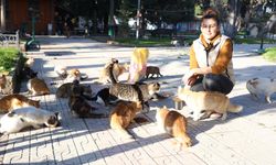 Gürcistanlı gelin Sabina, sokak hayvanlarına umut oldu
