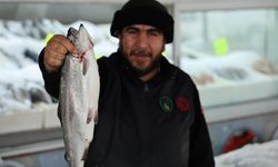 Denize kıyısı olmayan Kahramanmaraş'ta bu yıl 6 bin ton balık üretildi
