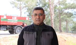 Orman yangınlarında yok olan alanlar yeniden ağaçlandırılıyor
