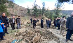 Kahramanmaraş'ta Yanan Ormanları Basın Mensupları Yeşertiyor