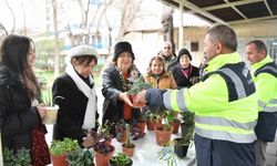 “Çiçeğim Takas” projesine ilgi büyük