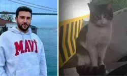 Kedi Eros'u vahşice öldüren İbrahim Keloğlan adli kontrol şartıyla serbest bırakıldı