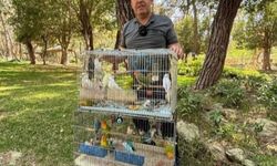 Papağan operasyonu: 41 papağan ele geçirildi