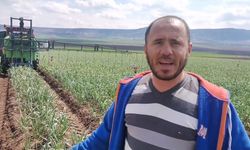 Kahramanmaraş'ta Mevsimlik Tarım İşçilerinin Zorlu Mesaisi Başladı