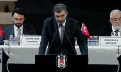 Ali Sinanoğlu kimdir? kaç yaşında, nereli?