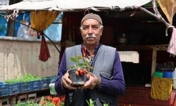Kahramanmaraşlı Demir, 60 yıldır yetiştirdiği bitkileri satıyor!