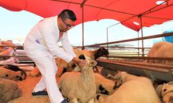 Kurban satış yerleri belirlendi