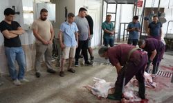 Kurban Bayramı öncesi usta kurban kesiciliği eğitimi