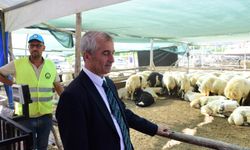 Şahinbey Belediyesinden vatandaşın bütçesini düşünen kurbanlık uygulaması