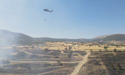 Anız yangınında bin dönümlük arazi küle döndü