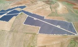 GES yatırımları yılda 900 binin üzerinde ağacı kazandıracak