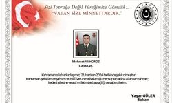 Şehit P.Asb.Çvş. Mehmet Ali Horoz kimdir?  Kaç yaşında, nereli?