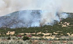 Kahramanmaraş'ta makilik alanda çıkan yangın kontrol altına alındı