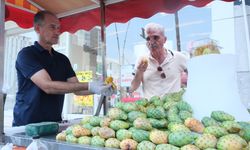 Adana'da vatandaşlar dikenli incir yiyerek serinliyor