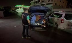 Bagajdan kaçak göçmen çıktı
