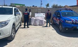 Babasının tarlasından 1,5 ton Antep fıstığı çalan şüpheli yakalandı