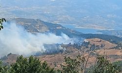 Kahramanmaraş’ta Orman Yangını: Söndürme Çalışmaları Devam Ediyor