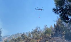 Kahramanmaraş'ta çıkan orman yangını söndürüldü