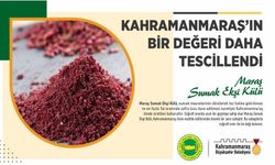 Maraş Sumak Ekşi Külü’nün de Tescili Alındı