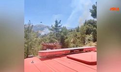 Kahramanmaraş’ta orman yangını
