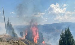 Alanya’da makilik alanda çıkan yangın ormana sıçramadan söndürüldü