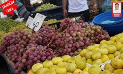 Kahramanmaraş'ta Yaz Meyveleri Bol Ama Fiyatlar Yüksek!