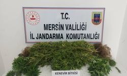 Uyuşturucu tacirlerine operasyon