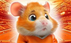 YENİ HAMSTER KOMBAT 1 EYLÜL GÜNLÜK ŞİFRE Hamster Kombat Komba kartları ve yeni şifre ne, nasıl kullanılır?