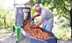 Belediyeden üreticilere 'ceviz soyma makinesi' desteği