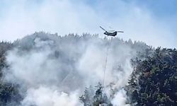 Kahramanmaraş'taki Yangın Kontrol Altına Alındı