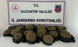 Yolcu Otobüsünde 18.5 Kilogram Skunk Ele Geçirildi