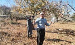 Kahramanmaraş'ta Budama Sezonu Başladı