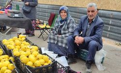 Kahramanmaraş’ta Kendi bahçelerinde yetiştirdikleri ayvaları satarak 7 çocuk okuttular!