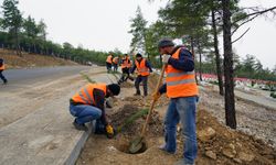 Kahramanmaraş'ta Kapıçam Mezarlığı'nda Yeşil Alan ve Peyzaj Çalışmaları Sürüyor