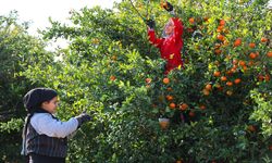 2025 Tarım İşçisi Günlük Ücretleri Belirlendi